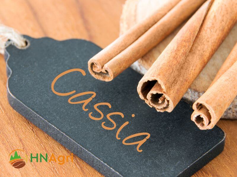 Exploring the Taste and Benefits of Cassia Cinnamon