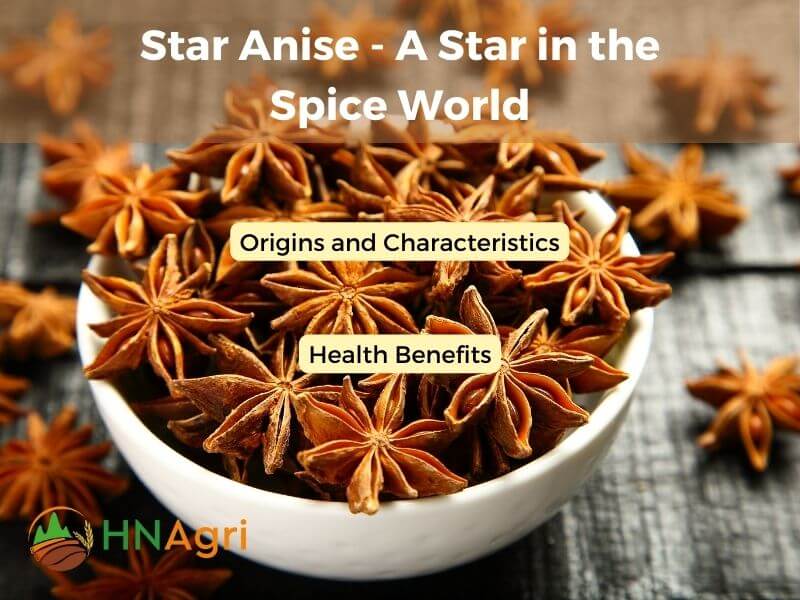Star Anise A Star in the Spice World