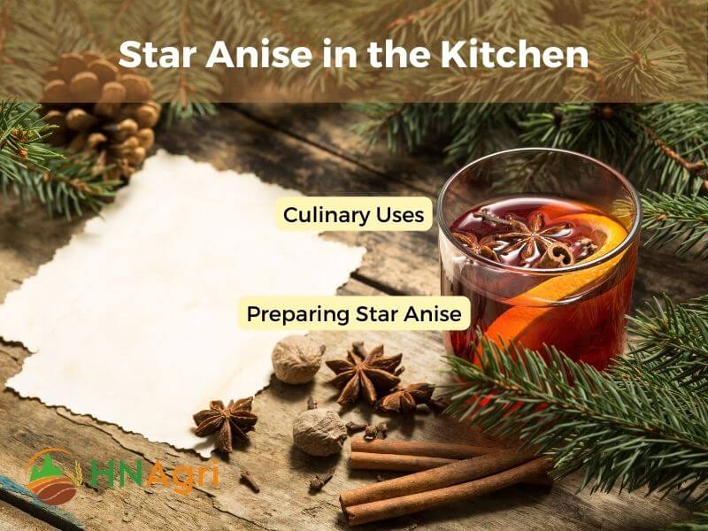 Star Anise in the Kitchen