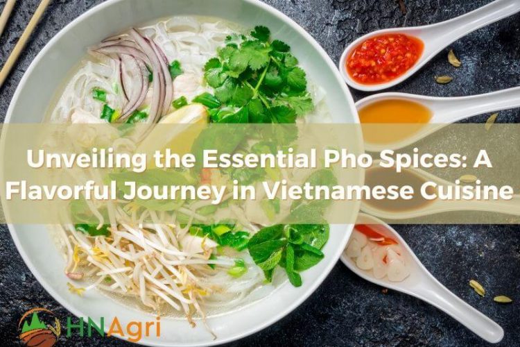 the Essential Pho Spices: A Flavorful Journey in Vietnamese Cuisine