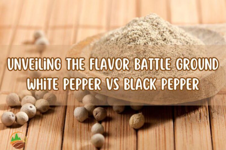 ground-white-pepper-why-wholesalers-should-consider-to-buy