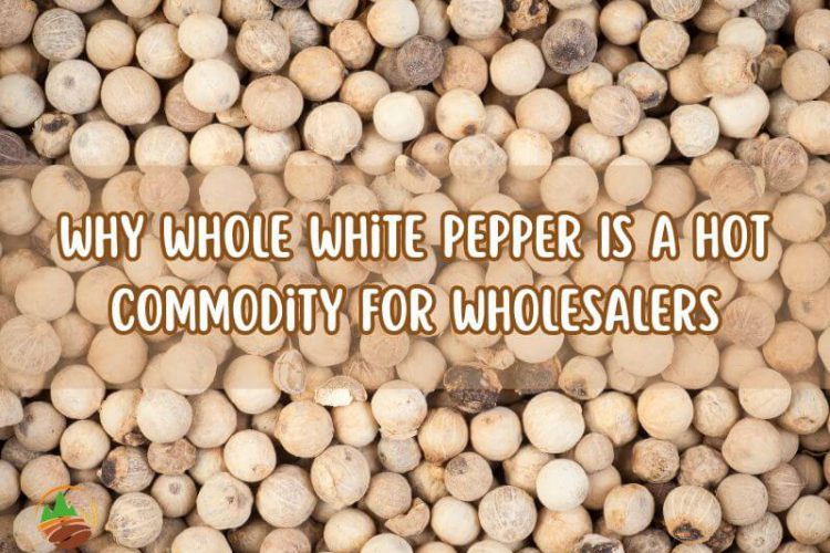 why-whole-white-pepper-is-a-hot-commodity-for-wholesalers