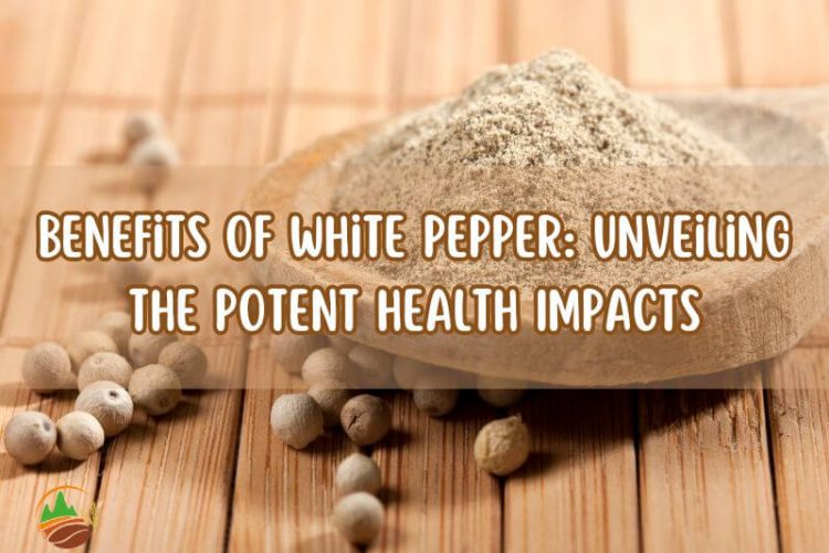 Benefits Of White Pepper: Unveiling The Potent Health Impacts