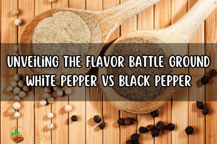 unveiling-the-flavor-battle-ground-white-pepper-vs-black-pepper