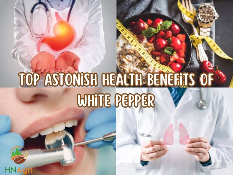 benefits-of-white-pepper-unveiling-the-potent-health-impacts-1