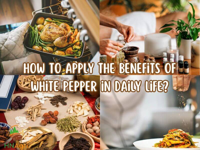 benefits-of-white-pepper-unveiling-the-potent-health-impacts-3