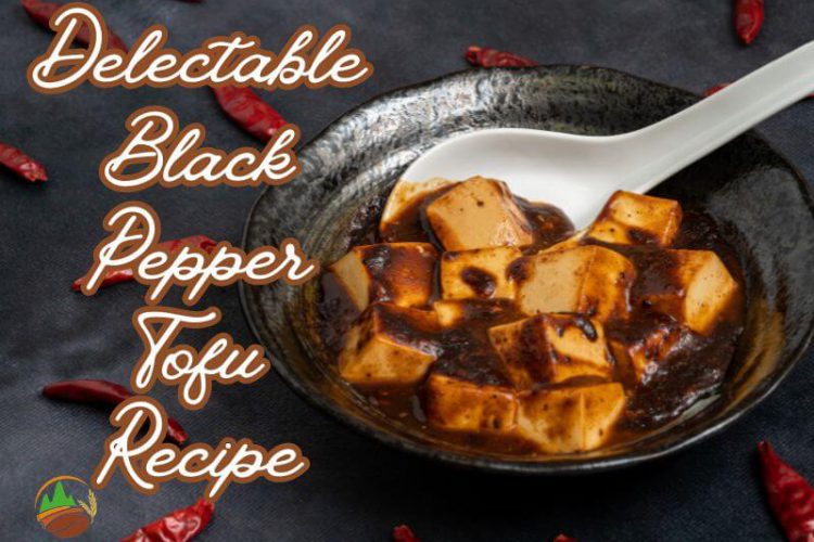 delectable-black-pepper-tofu-recipe-to-spice-up-your-taste